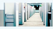 Clean & Tidy Ltd