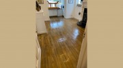 Carpet & Rug Cleaning