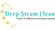 Deep Steam Clean