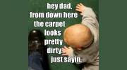 Revive Carpet & Upholstery Cleaning