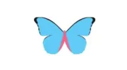 Butterfly Cleaning Service