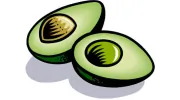 Avocado Services