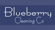 Blueberry Cleaning