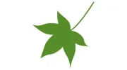 Maple Cleaning Services