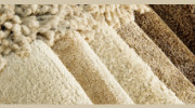 Clean Carpets Dudley